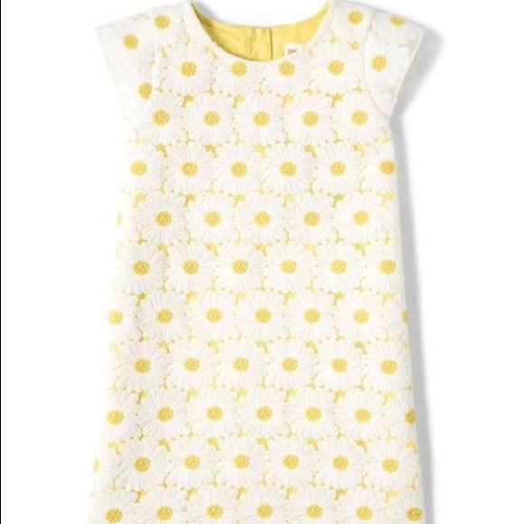 4T- Girls Daisy Lace Shift Dress- Garden Party
